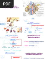 Comprendre l'hypercorticisme | PDF | Cortisol | Système endocrinien