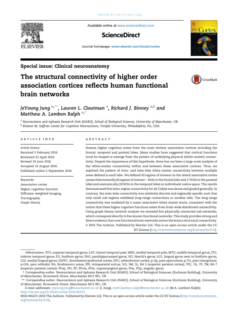 Brain Connectivity and Higher Cognition | PDF | Parietal Lobe ...