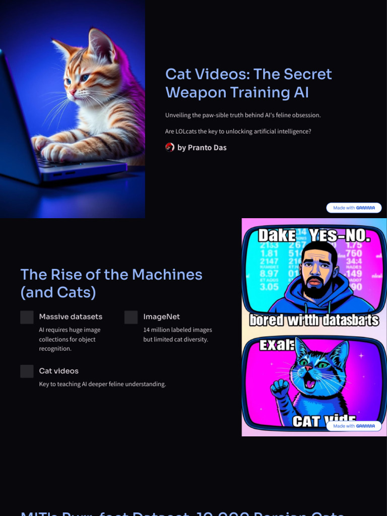 Cat Videos: AI Training Secrets | PDF | Artificial Intelligence ...