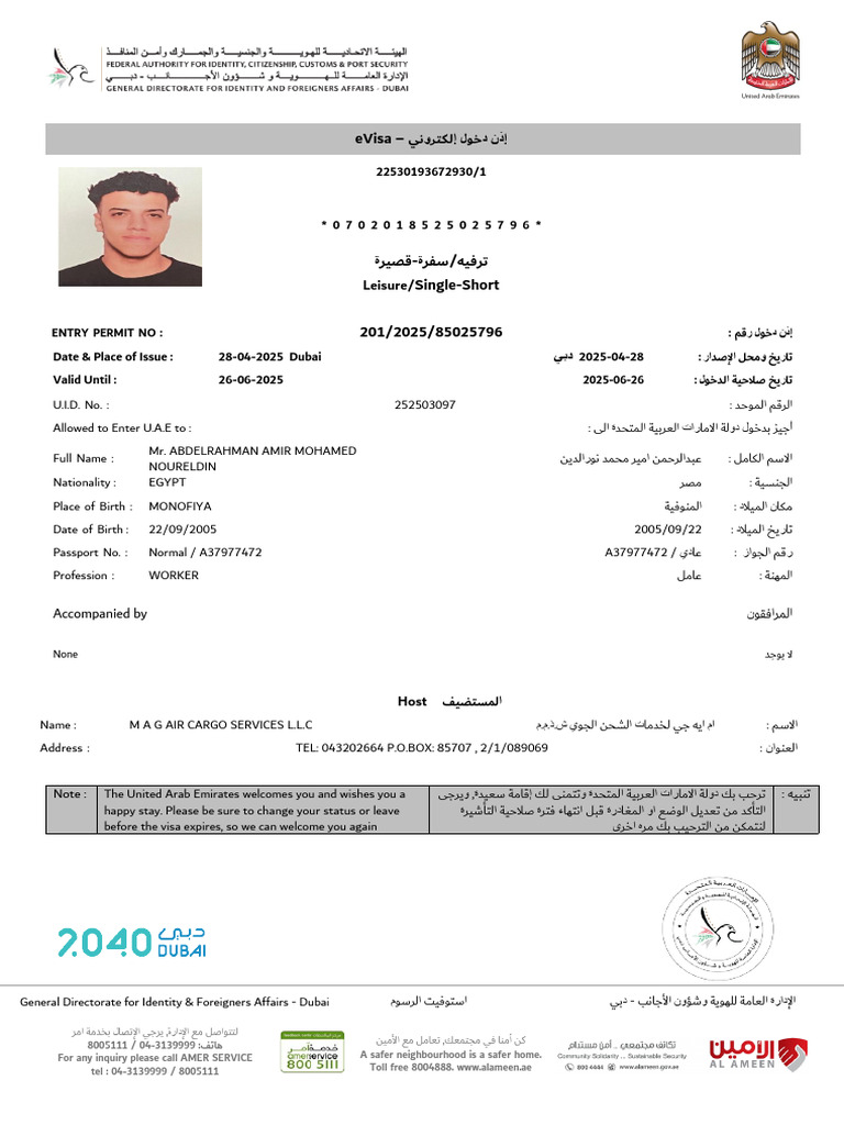 Visa Inquiry and Status Details | PDF | Travel Visa