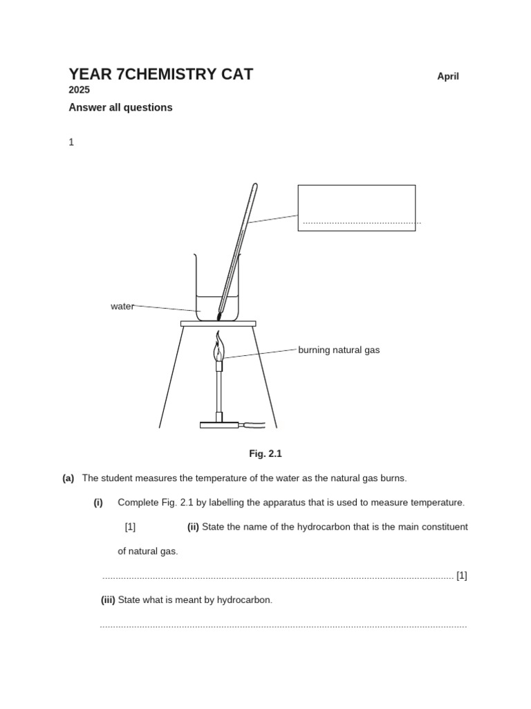 Year 7 Chemistry Assessment Guide | PDF | Acid | Chemical Reactions