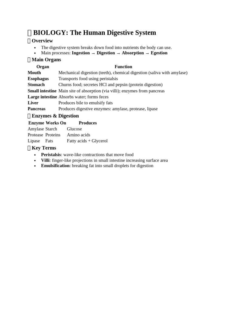 Human Digestive System Overview | PDF