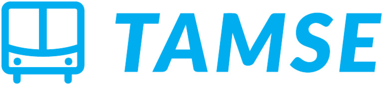 Tamse - Logo | PDF