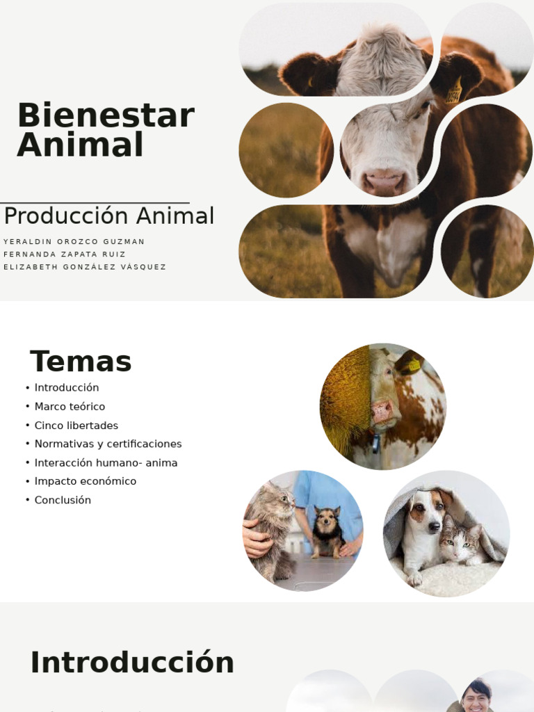 Bienestar Animal: Principios y Normativas | PDF | Bienestar de los ...