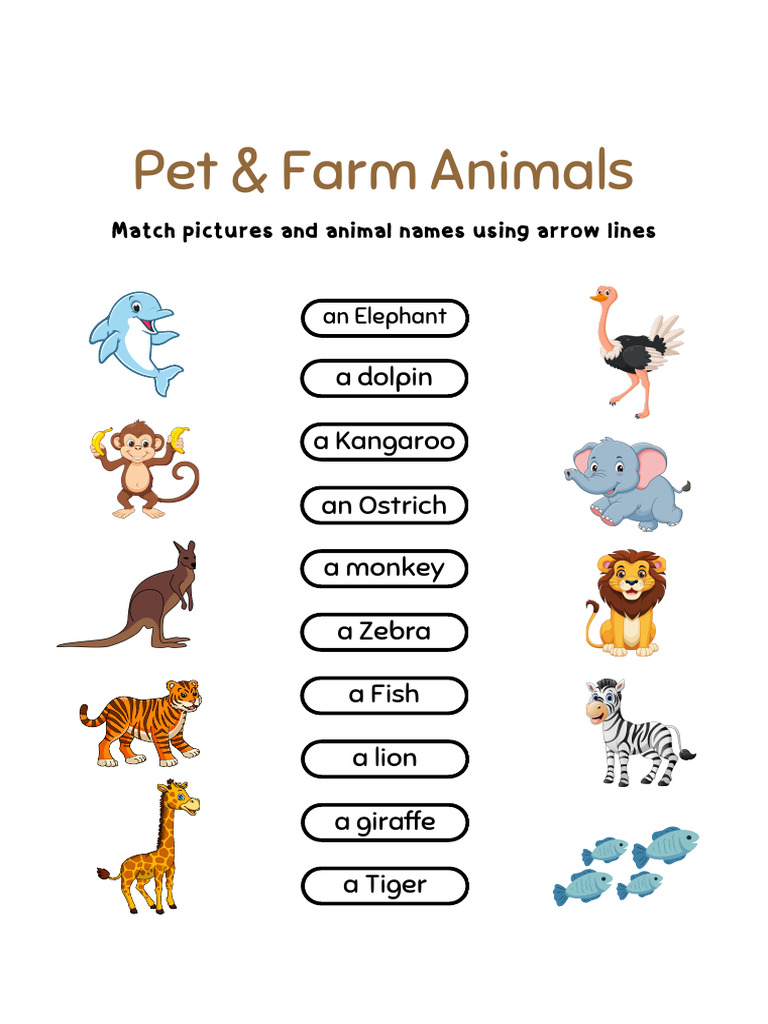 Animal Counting and Matching Activity | PDF