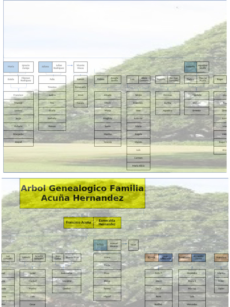 Arbol Genealogico | PDF