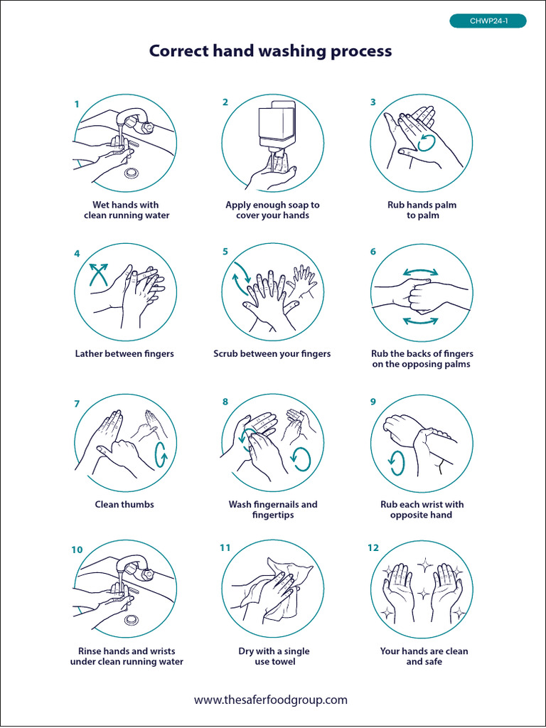 Correct Hand Washing Process - CHWP | PDF