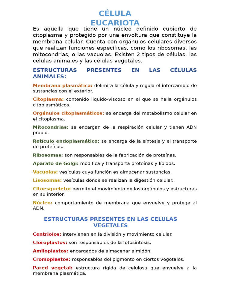 Estructura y Función de Células Eucariotas | PDF | Citoplasma ...