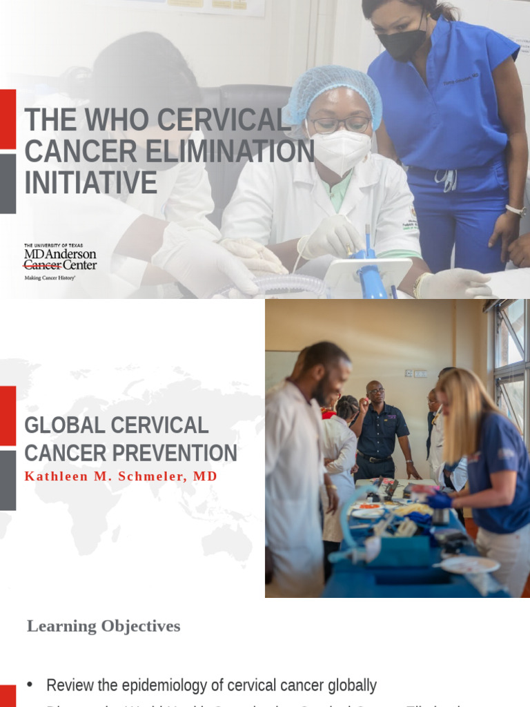 WHO Cervical Cancer Elimination Strategy | PDF | Cervical Cancer | Cancer