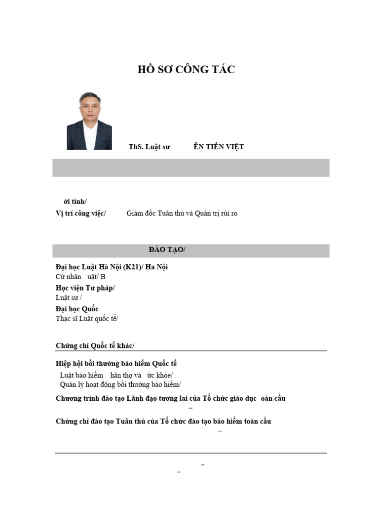 2025 nt viet cv update pdf