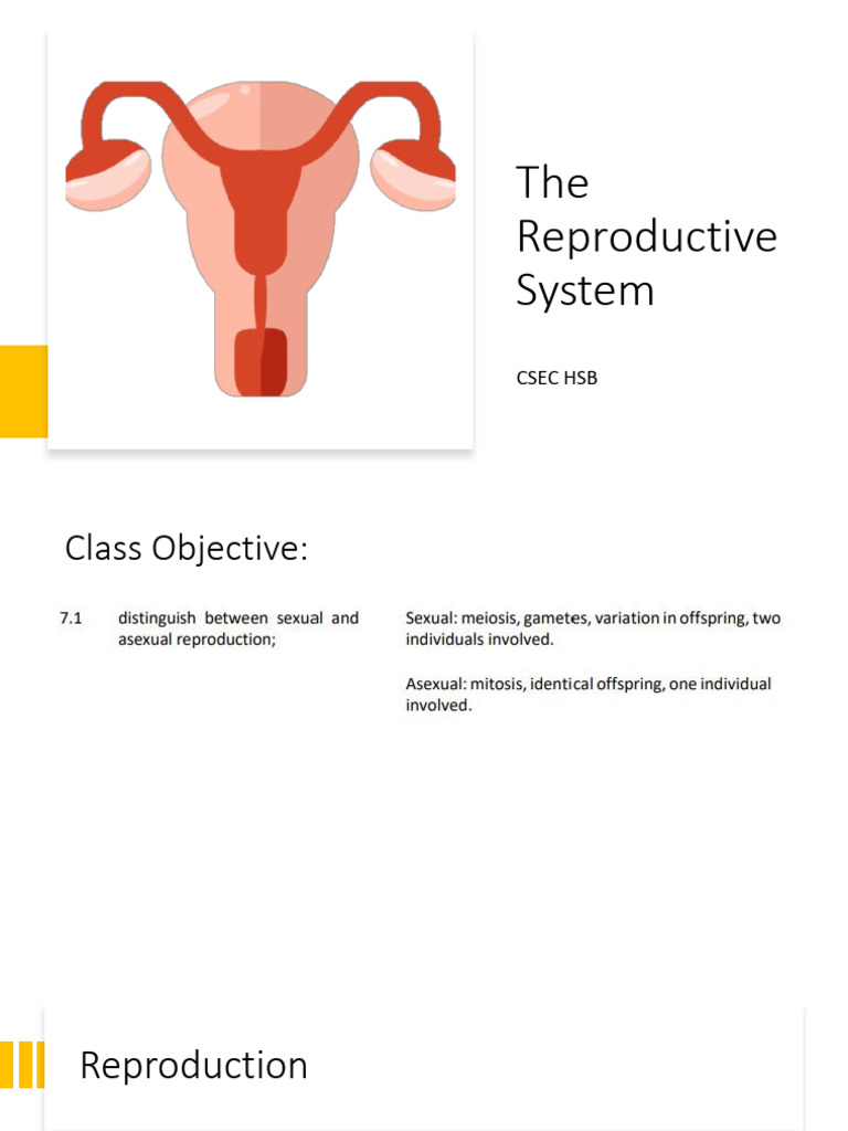 Asexual vs Sexual Reproduction Explained | PDF