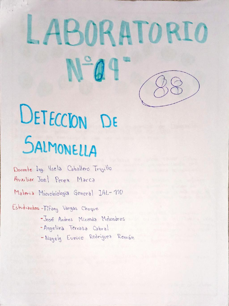 Detección de Salmonella en Alimentos | PDF