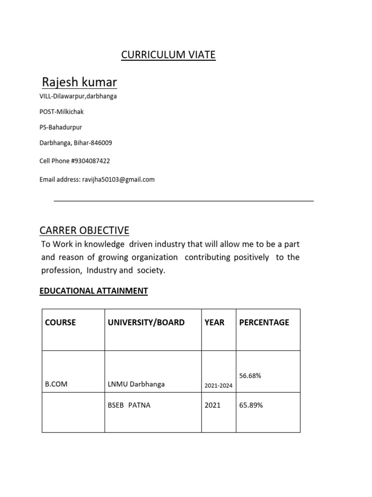 Rajesh Kumar's Professional CV | PDF