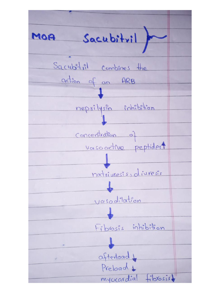 CVS Imp MOA Pharma Notes NiA Academy | PDF