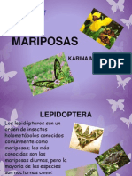 MARIPOSAS