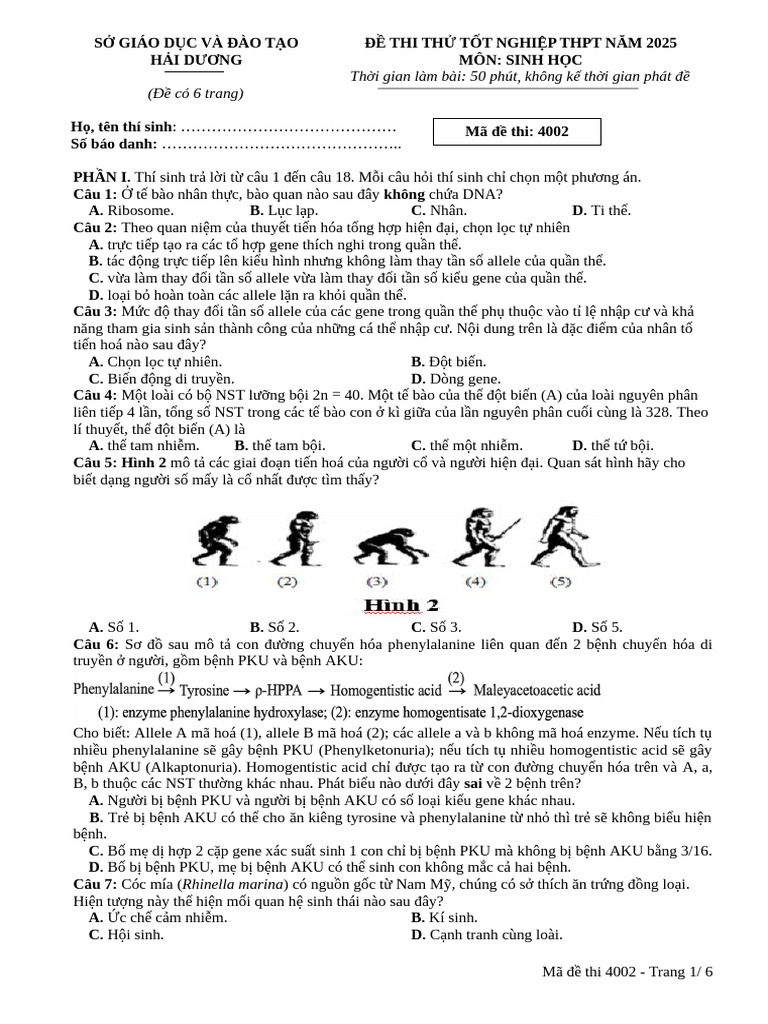 Made 4002 | PDF