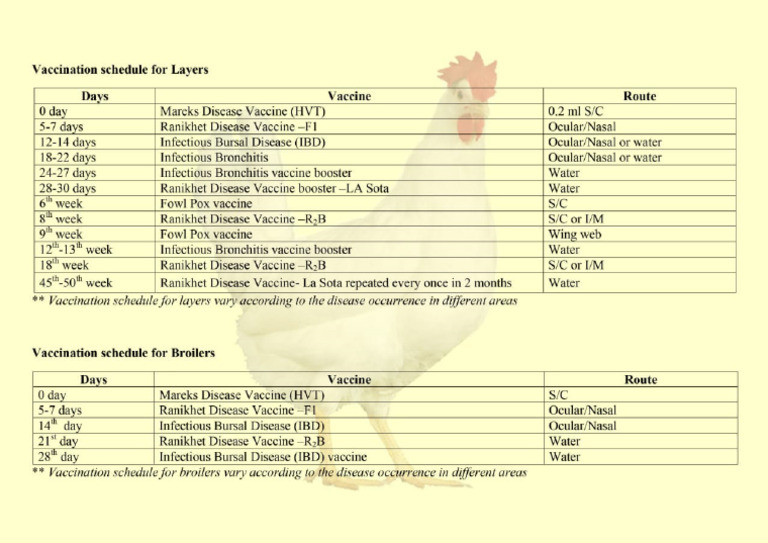 vaccination-schedule-for-layers-pdf
