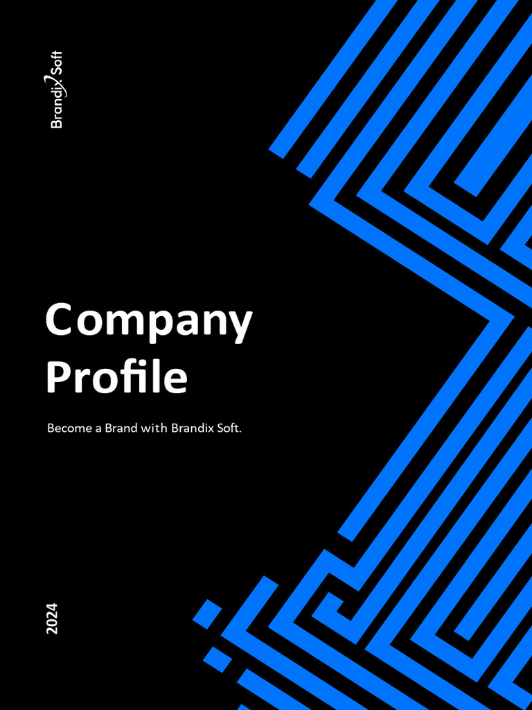 Brandix Soft Profile Proposal | PDF | Social Media Marketing | Search ...