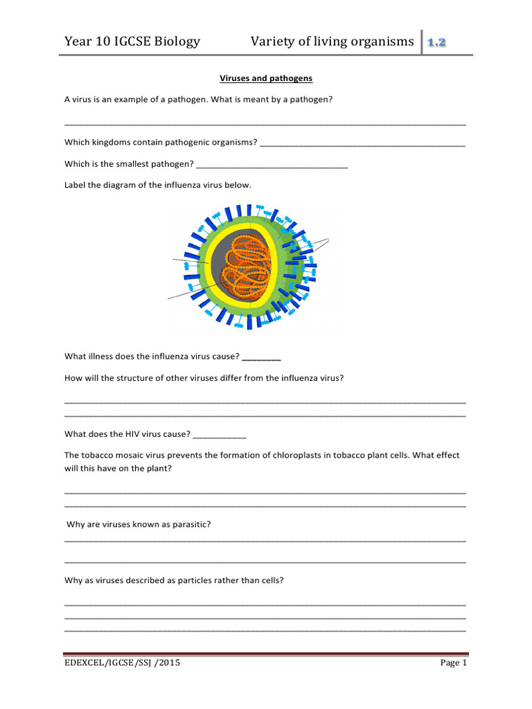 IGCSE Biology: Viruses and Pathogens Guide | PDF | Virus | Pathogen