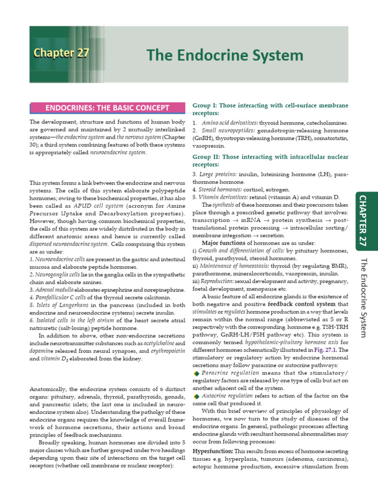 Endocrine system | PDF | Adrenal Gland | Endocrine System