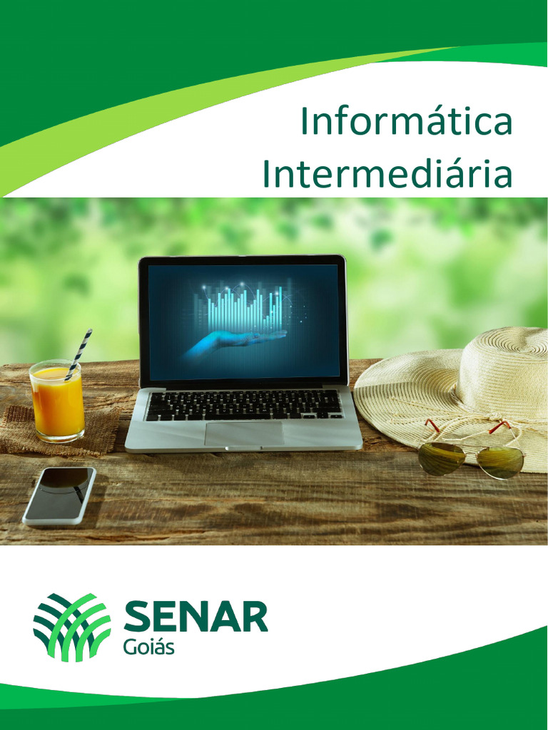 Treinamento em Informática Intermediária | PDF | Microsoft Excel ...