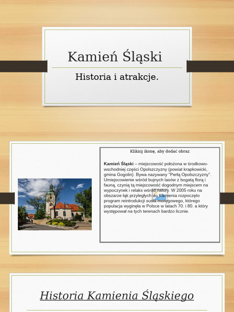 kamie-sl-ski-2-pdf