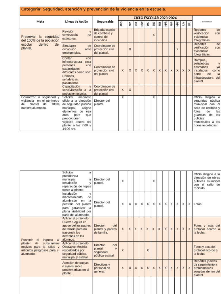 Formato Plan de Accion PMC | PDF