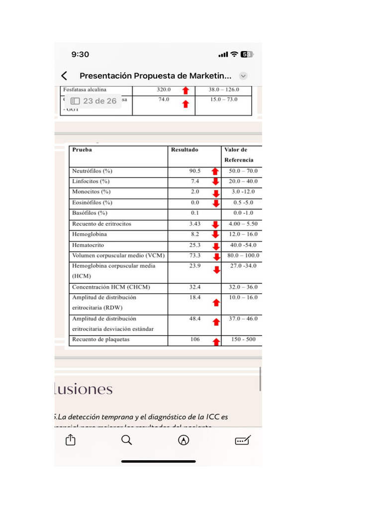 Documento 2 | PDF