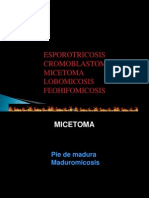 Micosis Subcutanea