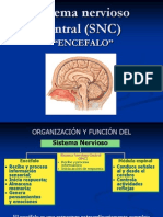 Presentacion Sistema Nervioso Central 3° Medio 2011