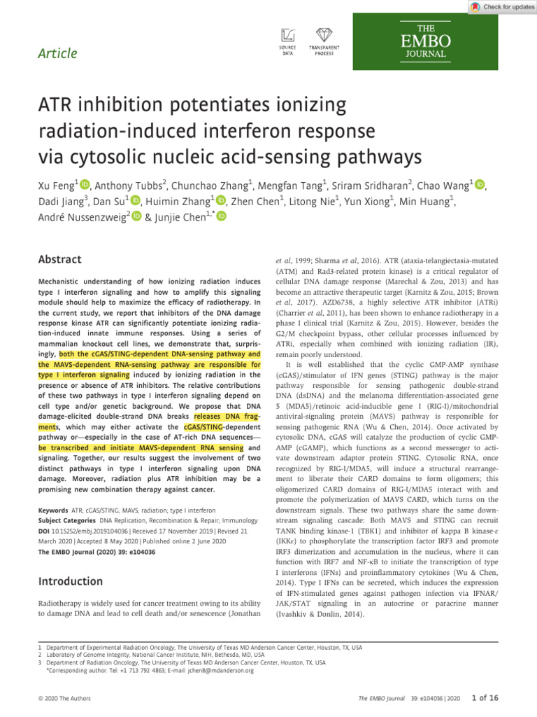 Feng Et Al Atr Inhibition Potentiates Ionizing Radiation Induced ...