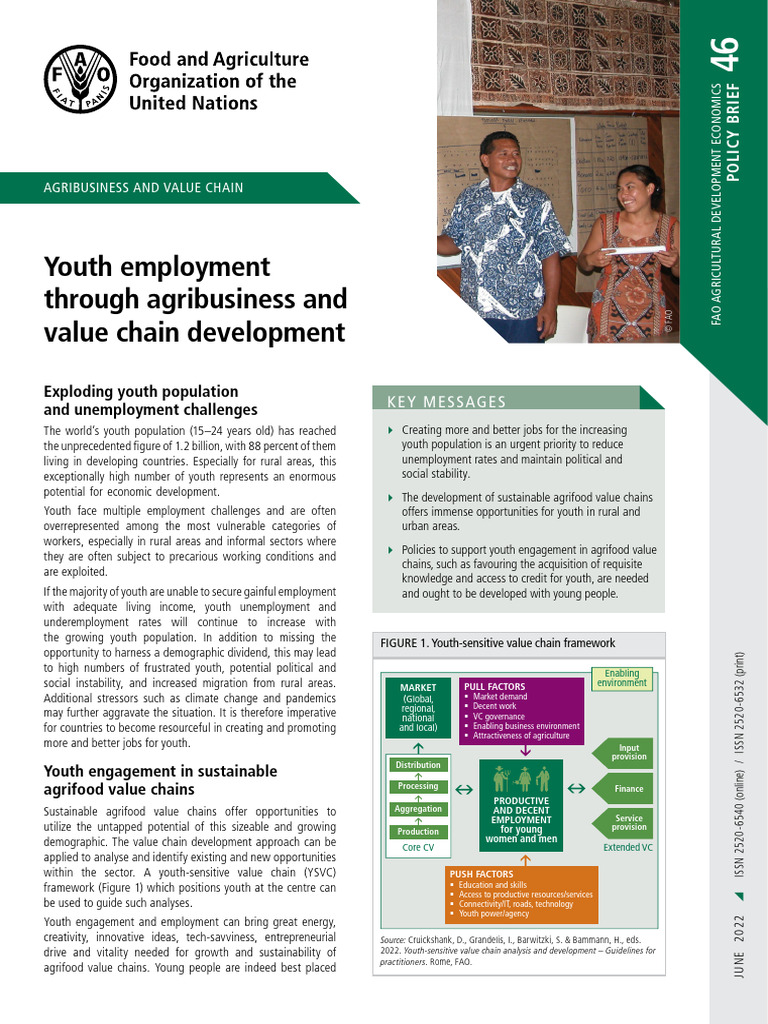Youth Employment in Agrifood Value Chains | PDF | Policy | Food And ...