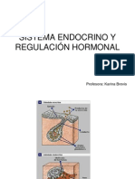 Sistema Endocrino y Regulacion Hormonal