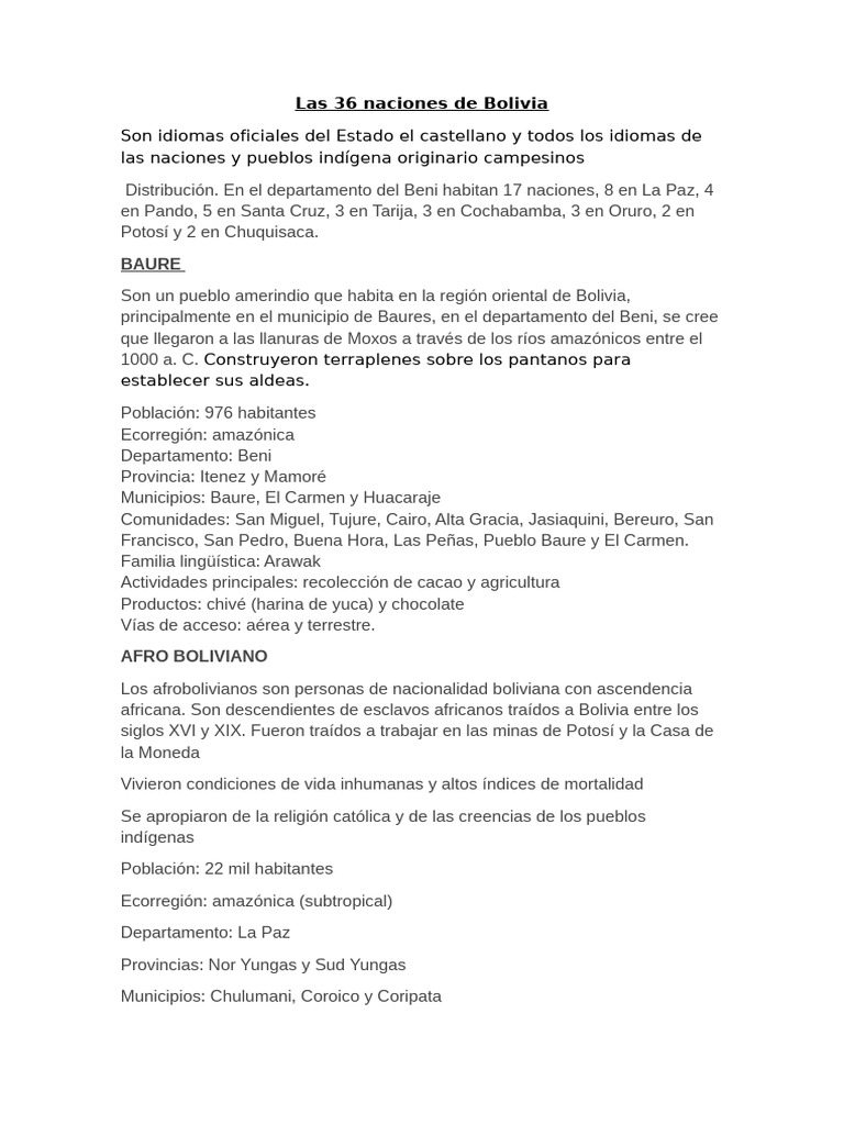 ETNIAS | PDF | Bolivia | Pueblos Indígenas de las Américas