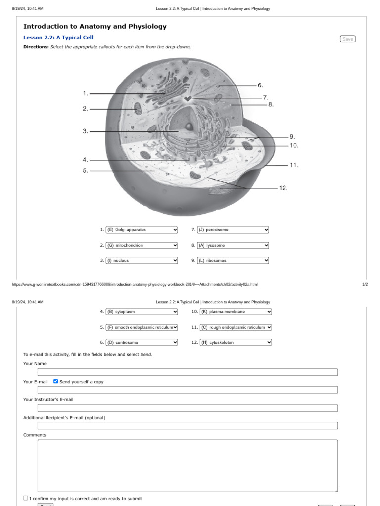 Lesson 2.2 - A Typical Cell - Introduction To Anatomy and Physiology | PDF