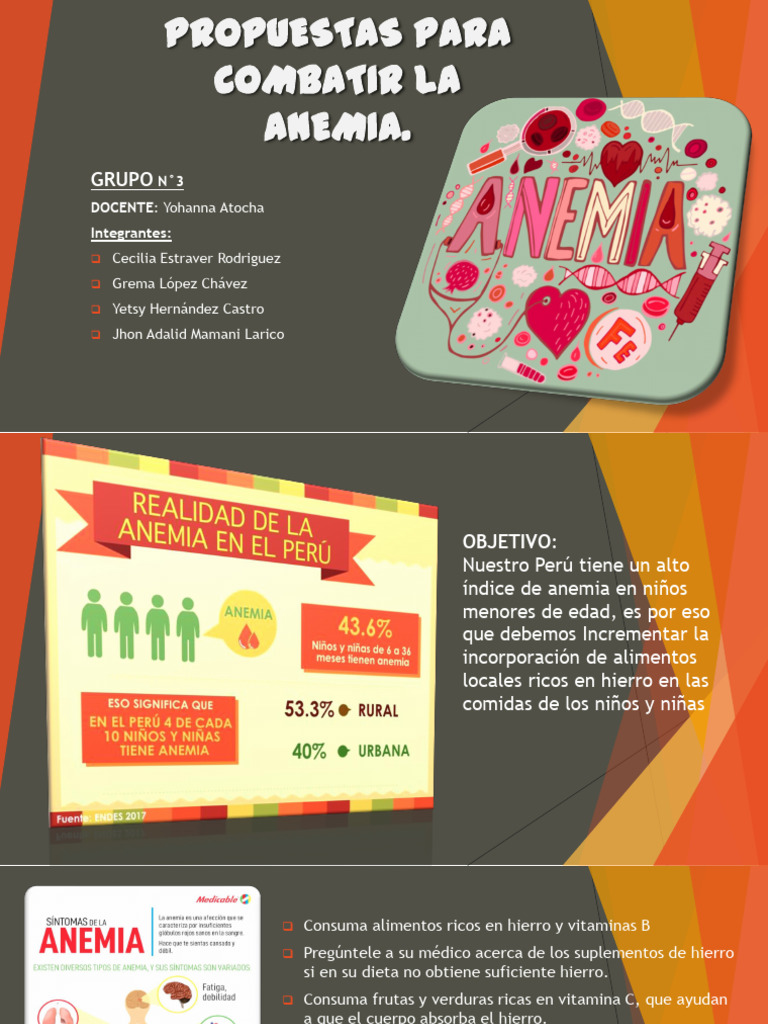 Propuestas para Combatir La Anemia | PDF