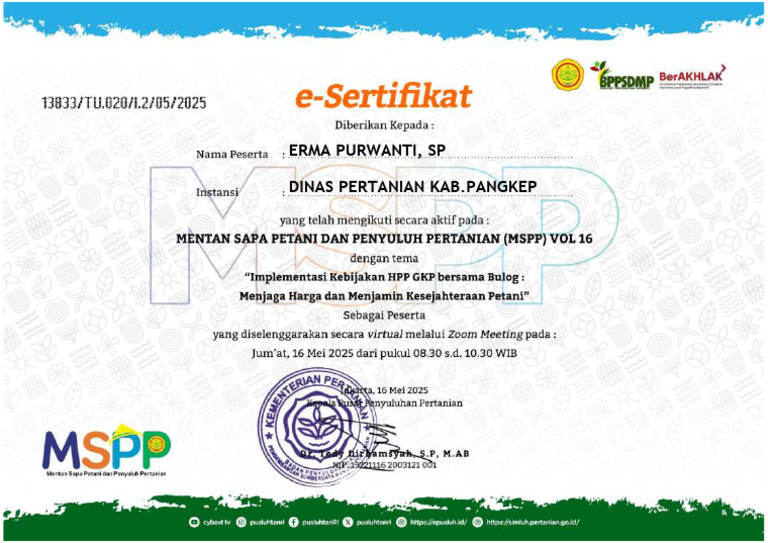 MSPP Vol 16 | PDF