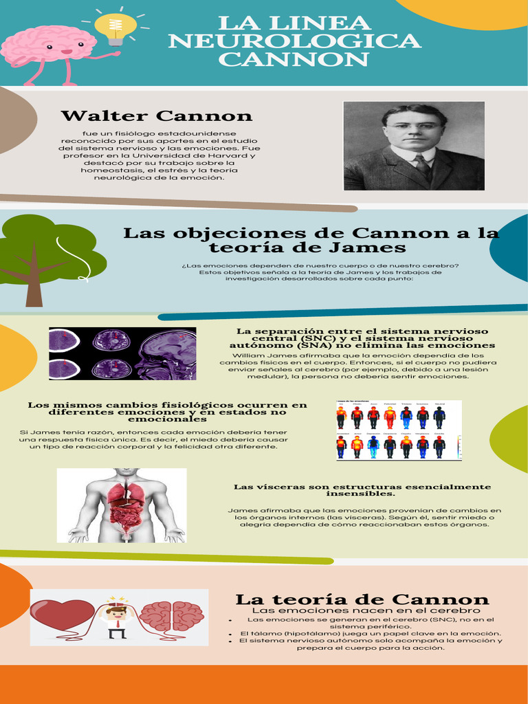 Objeciones de Cannon a la teoría de James | PDF | Las emociones ...