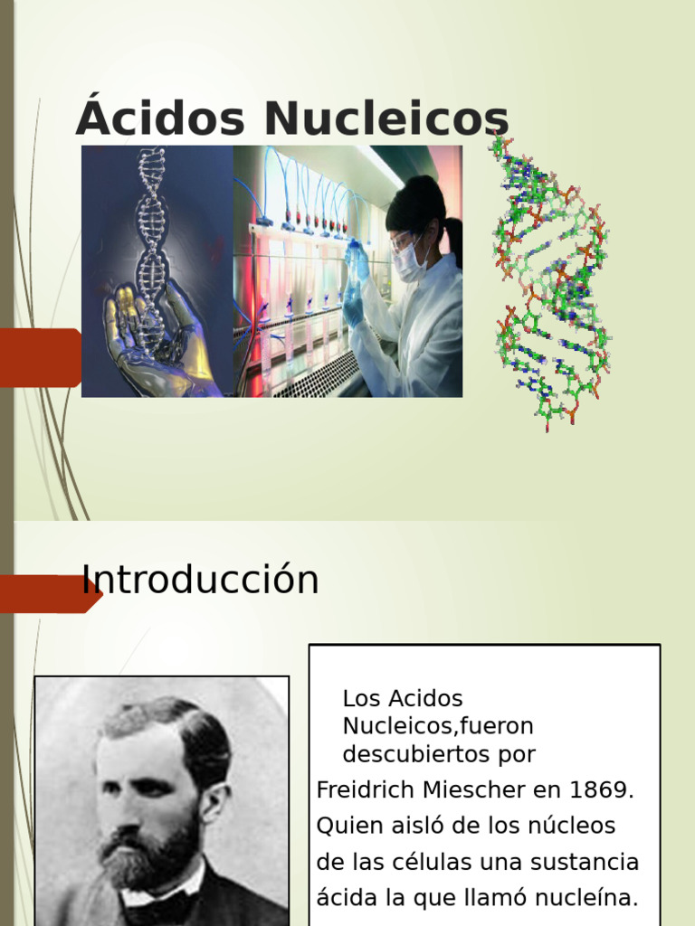 ACIDOS - NUCLEICOS (1) - Rev | PDF | Rna | Adn