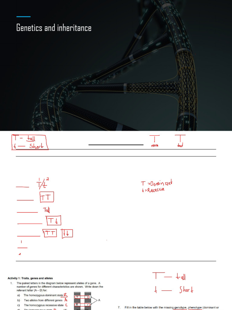 Genetics Terminology and Inheritance Laws | PDF | Dominance (Genetics ...