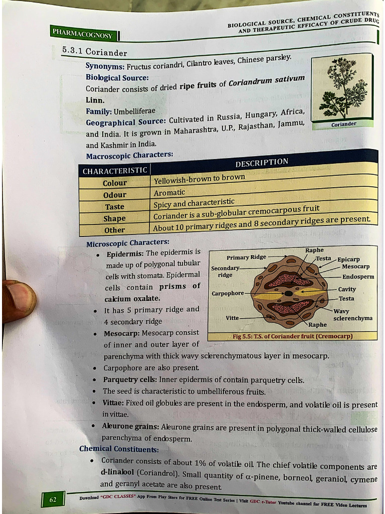 CARMINATIVE 07-Oct-2024 | PDF