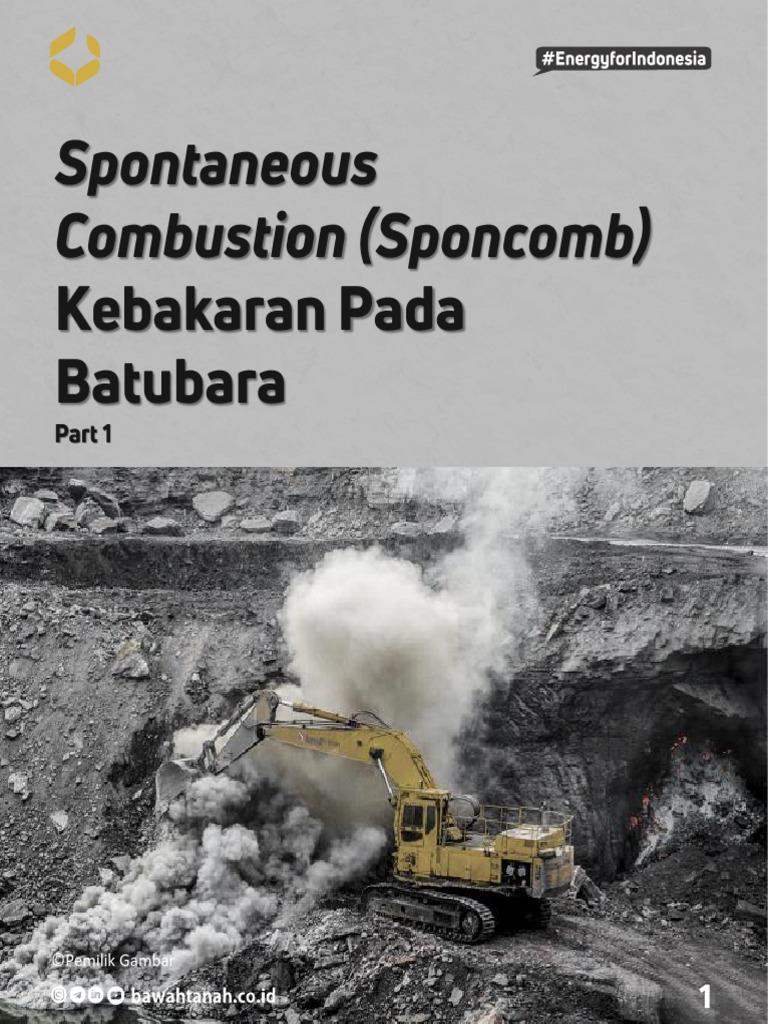Spontaneous Combution | PDF