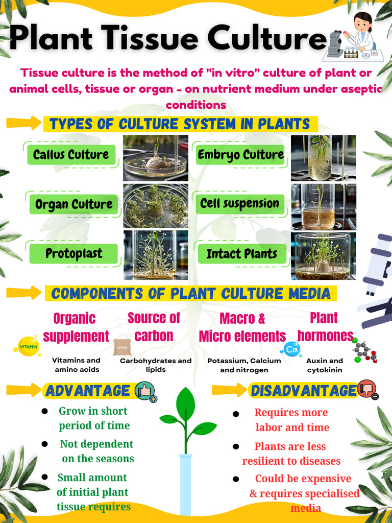 Advantages of Plant Tissue Culture | PDF