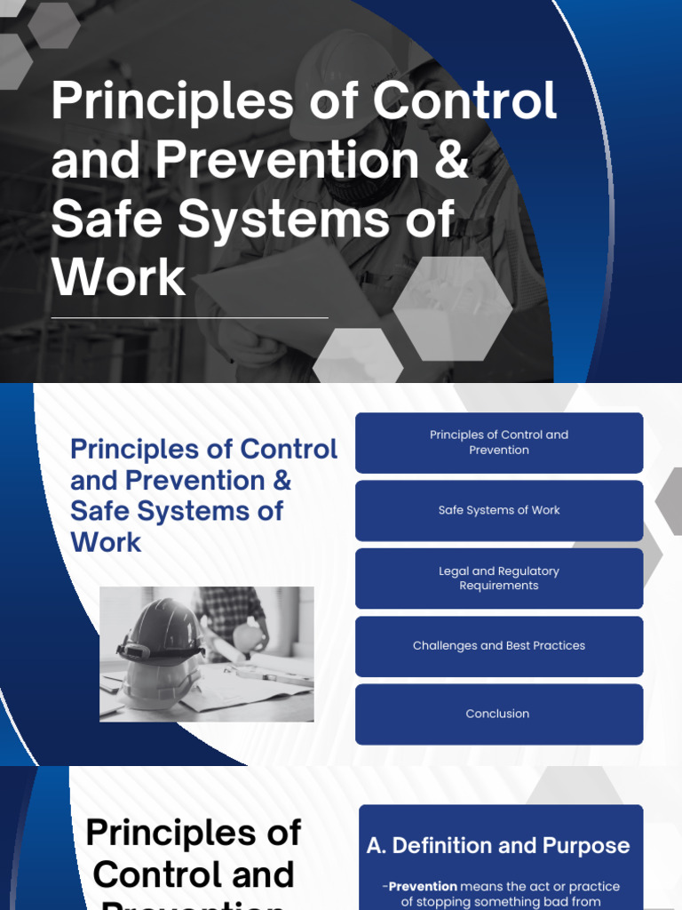 Control and Prevention Principles | PDF | Occupational Safety And ...
