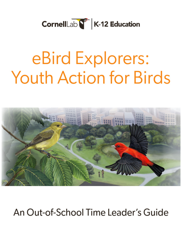 Ebird Explorers-Youth Action For Birds - 20240624 - 508 | PDF | Feather ...