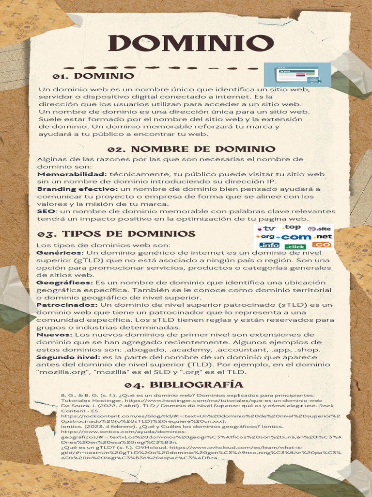 Tipos y Importancia del Dominio Web | PDF | Nombre de dominio | Red mundial