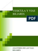 vesiculayviasbiliares-090405123826-phpapp02