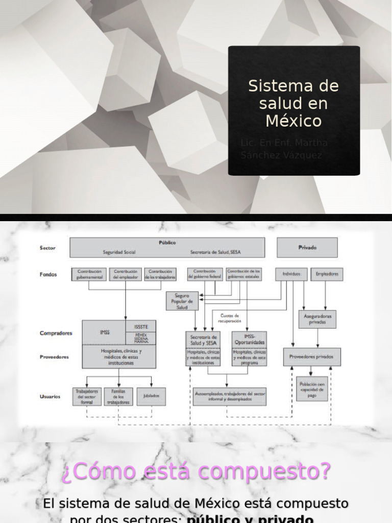 Estructura del Sistema de Salud en México | PDF | Calidad (comercial ...