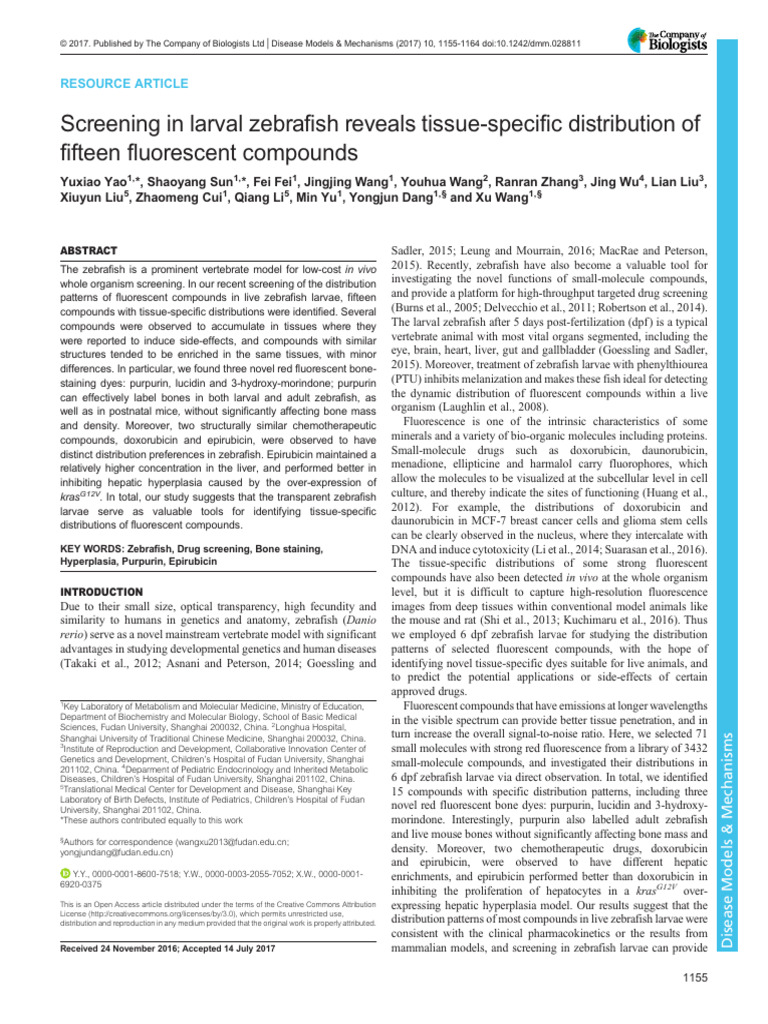 Zebrafish Screening of Fluorescent Compounds | PDF | Chemotherapy ...