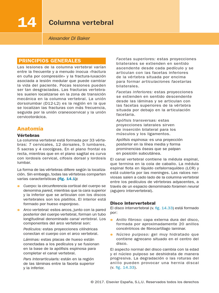Anatomía y lesiones de la columna vertebral | PDF | Vértebra | La ...